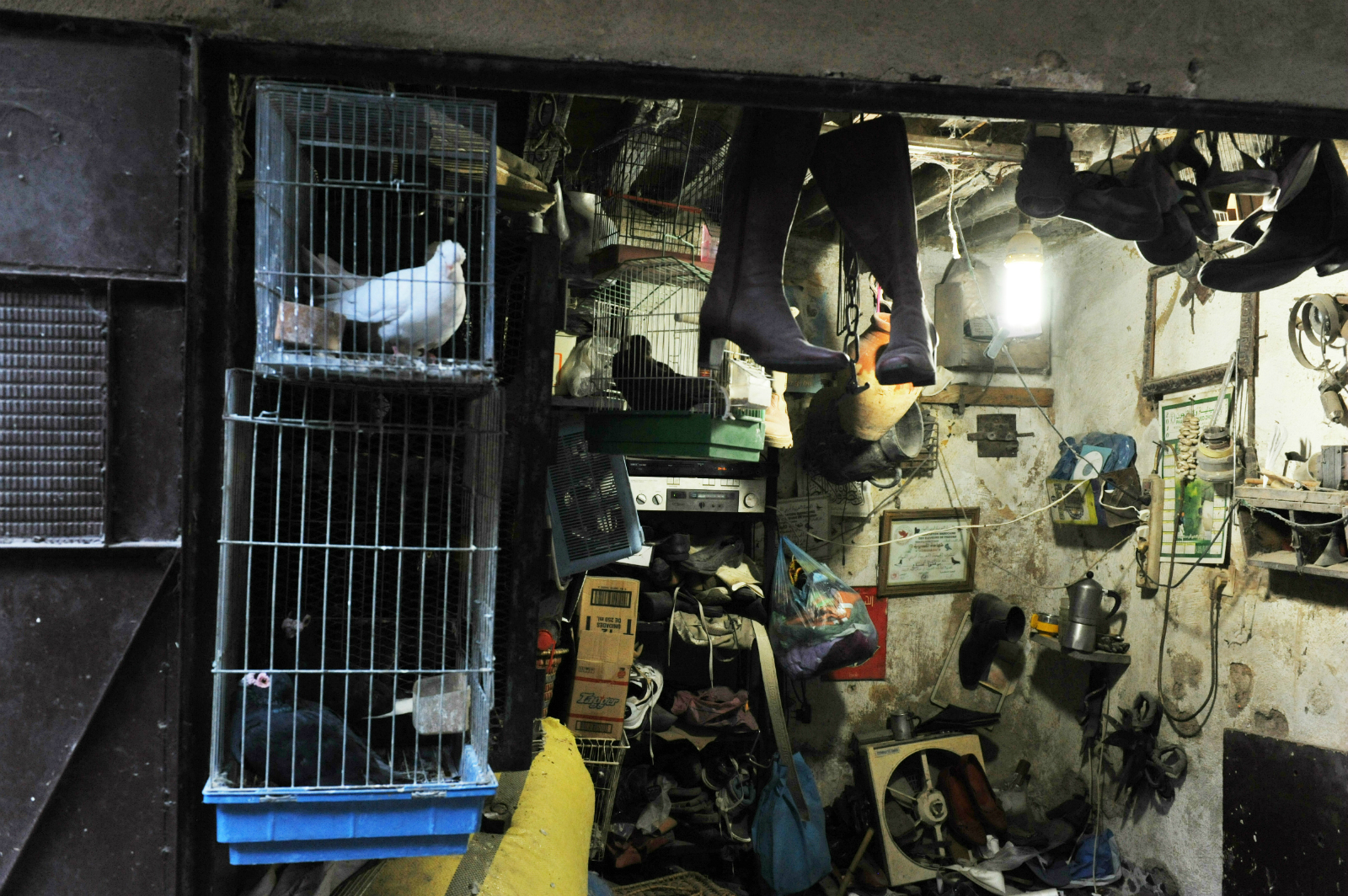 dsc_2459-_bb_1600-ok-h1600-w1600-h1600